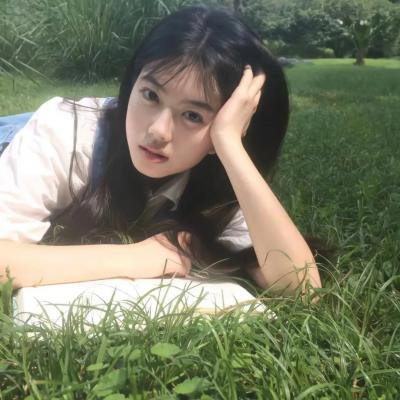 小菊的春天